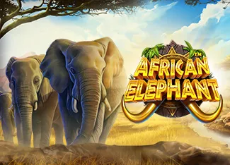 Pragmatic : African Elephant - KINGBET189